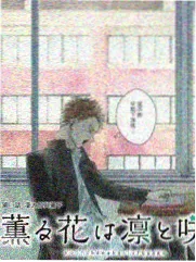 秋霞2022综艺凌晨四点的菜市场海报